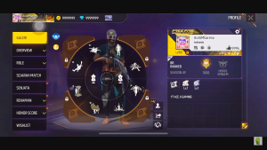 FF Beta Testing